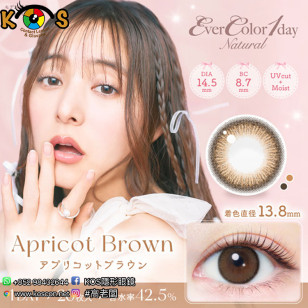 (EN2005)EverColor 1day Natural Moisture &UV Apricot Brown 20片裝 エバーカラーワンデーナチュラル アプリコットブラウン